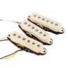 Jgo pastillas C.Shop Fender perg. Strat.