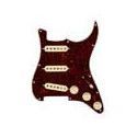 Golp. Fender C.Shop Texas Special SSS 11 carey