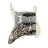 Golpeador Fender Tex-Mex SSS11 tortoise shell