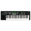 Teclado Yamaha Harmony Director HD200