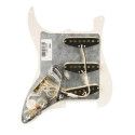 Golpeador SSS 11 Fender 57/62 tortoise shell