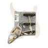 Golpeador SSS 11 Fender 57/62 tortoise shell