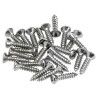 TORNILLOS GOLPEADOR FENDER 24ud CROMADOS