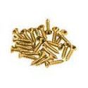 Tornillos golpeador Fender 24ud dorados