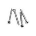 Tornillos mástil Fender cromados 4ud