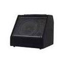 Monitor batería digital Hayman 30W bluetooth