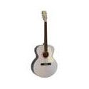 Guit. jumbo Richwood abeto plateado