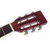 Guit. Parlor Richwood cedro macizo rojo