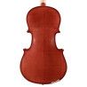 Viola 16pg Leonardo macizo flameado