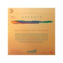 Set de cuerdas viola D'Addario Ascenté 13""-14""