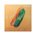 Set de cuerdas viola D'Addario Ascenté 15""-16""