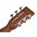 Guit. acú. parlor Richwood ARTESANA