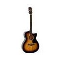 Guit. acú. E Auditorium Richwood Sunburst