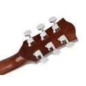 GUITARRA ACÚSTICA RICHWOOD AUDITORIUM SOMBREADA