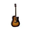 Guit. acú. E Dreadnought Richwood Sunburst