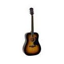 Guit. acú. Dreadnought Richwood Sunburst