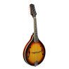 Mandolina estilo A Richwood abeto sunburst