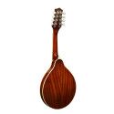 Mandolina estilo A Richwood abeto sunburst