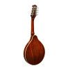 Mandolina estilo A Richwood abeto sunburst