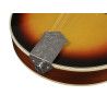 Mandolina estilo A Richwood abeto sunburst