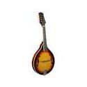 Mandolina estilo A Richwood abeto sunburst