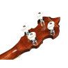 Banjo folk de 5 c. Richwood fondo abierto 24T
