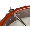 Banjo folk de 5 c. Richwood fondo abierto 24T