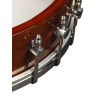 Banjo folk de 5 c. Richwood fondo abierto 24T