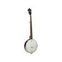 Banjo folk de 5 c. Richwood fondo abierto 24T