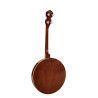 Banjo 4 c. Richwood caoba 24T 17 trastes