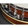 Banjo 4 c. Richwood caoba 24T 17 trastes