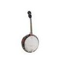 Banjo 4 c. Richwood caoba 24T 17 trastes